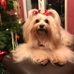 Profile Picture of Barbara Reichert (@barbara.reichert.3785) on Facebook