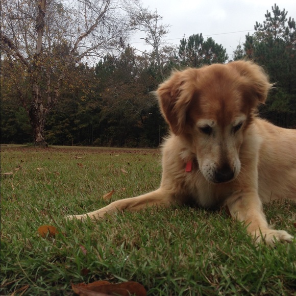 Anna Bozzone - Poshmark Profile Picture of Anna Bozzone (@abozzone24) on Poshmark