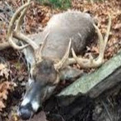 Profile Picture of Corey Hensley (@coreyhensley5852) on Youtube