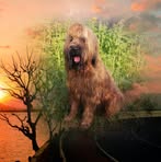 Profile Picture of Susanne Hibschenberger (@susanne.hibschenberger) on Facebook