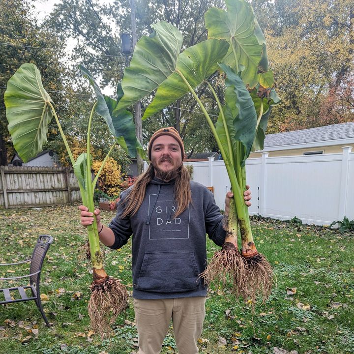Profile Picture of Alex Bartholomew (@midwest_plant_guy) on Tiktok