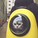 Profile Picture of Carlos Taylor (@carlostaylor0629) on Pinterest