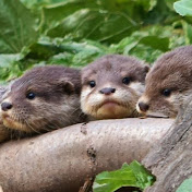 Julian Day - Youtube Profile Picture of Julian Day (@julianday8266) on Youtube