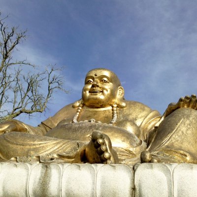 Profile Picture of TheLaughingBudai (@AndrewHanrahan3) on Twitter