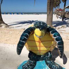 Profile Picture of David Shank295 (@@davidshank5) on Tiktok