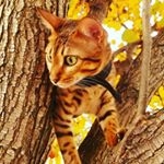 Profile Picture of Minnie Quinn (@minnie_savannah) on Instagram