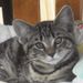 Profile Picture of ciara briggs (@ciarabriggs1996) on Pinterest