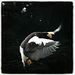 Profile Picture of Peter Whitfield (@pmw1710) on Pinterest