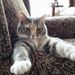 Profile Picture of Kimberly Mainer (@kimberlymainer) on Pinterest