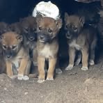 Albert Withers - Facebook Profile Picture of Albert Withers (@albert.withers.2025) on Facebook