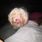 Willy Cox - Facebook Profile Picture of Willy Cox (@Willy-Cox) on Facebook