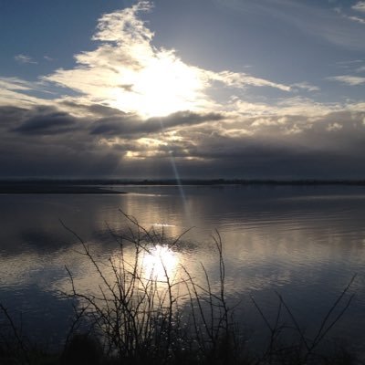 Profile Picture of Jean-Francois Perrin (@jeff50530) on Twitter