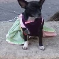 Profile Picture of Mya Rivera (@mya-rivera-4) on Quora