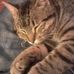 Profile Picture of Sandra Reale (@sandra.reale.908) on Facebook