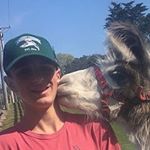 Profile Picture of Peter Capua (@peterc91803) on Instagram