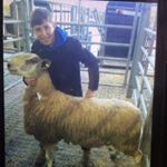 Profile Picture of Joe Herdman (@joe.herdman) on Instagram