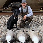 Profile Picture of Jake Horton (@jake_horton_) on Instagram