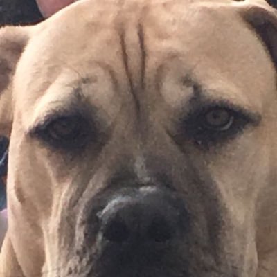 Profile Picture of Jenna Mclean (@JennaMc31095823) on Twitter