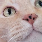 Profile Picture of Alyssa Thibodeau (@alyssa.thibodeau.12) on Facebook