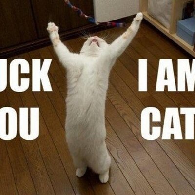 Profile Picture of Christopher Knutsen (@chriknu) on Twitter