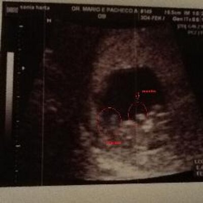 Profile Picture of Sonia Horta Garcia (@nonitsima) on Twitter