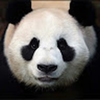 Profile Picture of Zachary Simon (@zachary-simon-37) on Quora