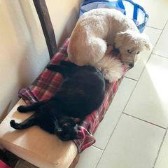 Profile Picture of andreasterber (@andreasterber) on Tiktok