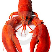 Profile Picture of Peter Pierce (@StuffFromHomarus) on Youtube