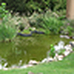 Profile Picture of Stokes_osu (@stokes_osu) on Flickr