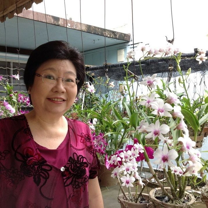Profile Picture of Phyllis (@123kitty123000) on Tiktok