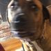 Profile Picture of Chloe Muncher (@chloe.muncher.5) on Facebook