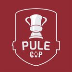 Profile Picture of Turnamen Sepakbola Kediri Raya (@bolakediricup) on Instagram