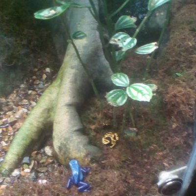 Profile Picture of Luke Greer (@LukeGreer18) on Twitter