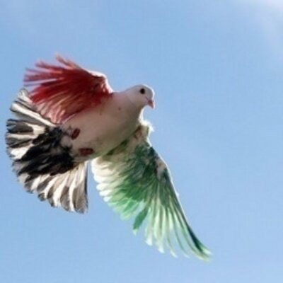 Profile Picture of خلود (@MarshaAlvarez9) on Twitter