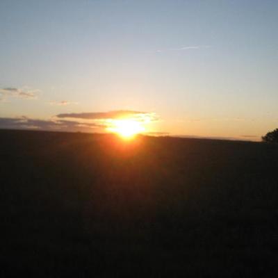 Profile Picture of Albert Picardi (@sy25805) on Twitter