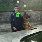 Profile Picture of Luigi Basile (@luigibasile7506) on Youtube