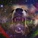 Profile Picture of Patrick Ramirez (@pramirez2570) on Pinterest