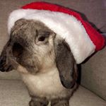 Profile Picture of Jacob Sierra (@jacobsierra72) on Instagram