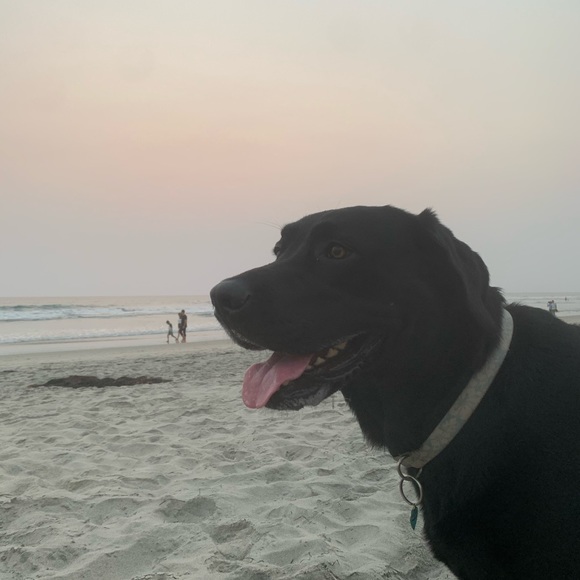 Profile Picture of Shea Vavra (@shea_vavra) on Poshmark