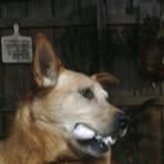 Profile Picture of Jason Wiseman (@jason.wisd) on Facebook