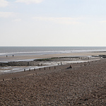 Profile Picture of Ulli_1130 (@ulli_1130) on Flickr