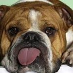 Profile Picture of Robert Cousins (@jurassicman01) on Instagram