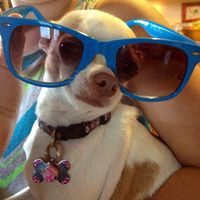 Profile Picture of Mandi Edmonds (@mandi-edmonds-1) on Quora