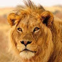 Profile Picture of Jeremy Rieck (@jeremy-rieck-1) on Quora