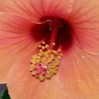 Profile Picture of Thomas Stamm (@thomas_stamm) on Twitter