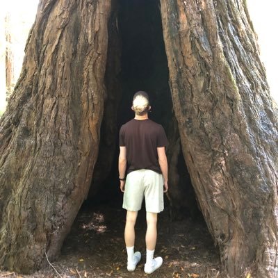 Profile Picture of Tyler Wallace (@ty_wall_26) on Twitter