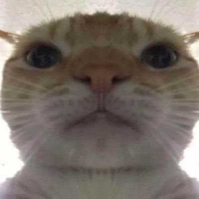 Profile Picture of Adam Doliński (@AdamDoliski1) on Twitter
