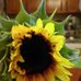 Profile Picture of Jean Keeling (@laura.keeling.121) on Facebook