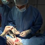 Profile Picture of Dr. Pedro Ambrosio Quijada Gil (@pedro_ambrosio19) on Instagram