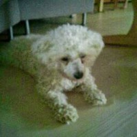 Profile Picture of Simon Conley (@simon-conley-1) on Quora